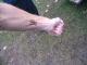 4015-bmtfl-greg-tattoo-oct29-2006