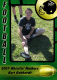 8368-kurt-7641-BMTFL-000-oct07-2007