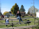 6007-BMTFL-League-BBQ-0-oct19-2008