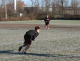 6415-BMTFL-Hurricanes-VS-Mothers-000-nov02-2008