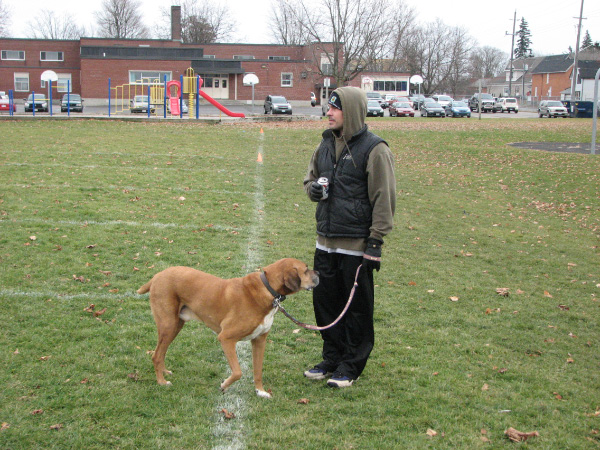 5991-BMTFL-Championship-Day-Games-00-nov14-2009