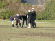 5778-BMTFL-Playoffs-2-00-nov08-2009