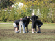 5833-BMTFL-Playoffs-2-00-nov08-2009